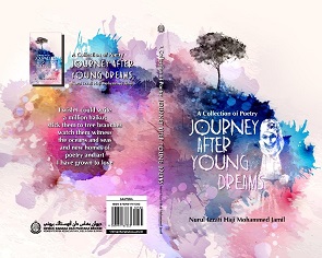 A COLLECTION OF POETRY JOURNEY AFTER YOUNG DREAMS.jpg